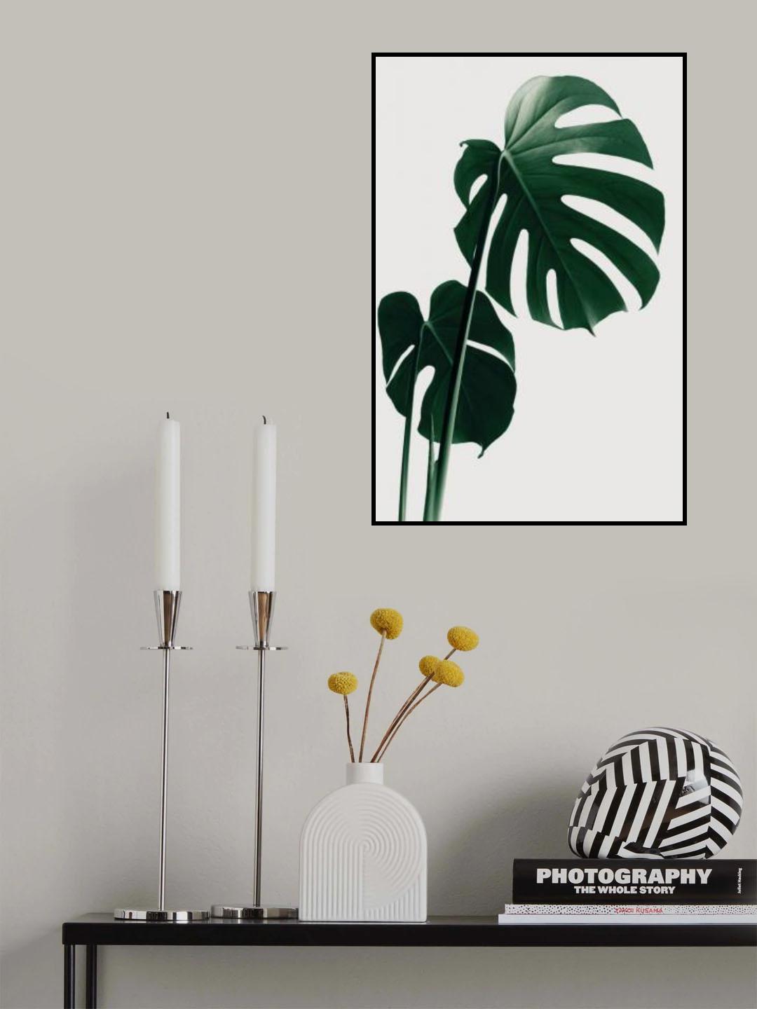 Monstera Natural 16 Poster och Canvastavla