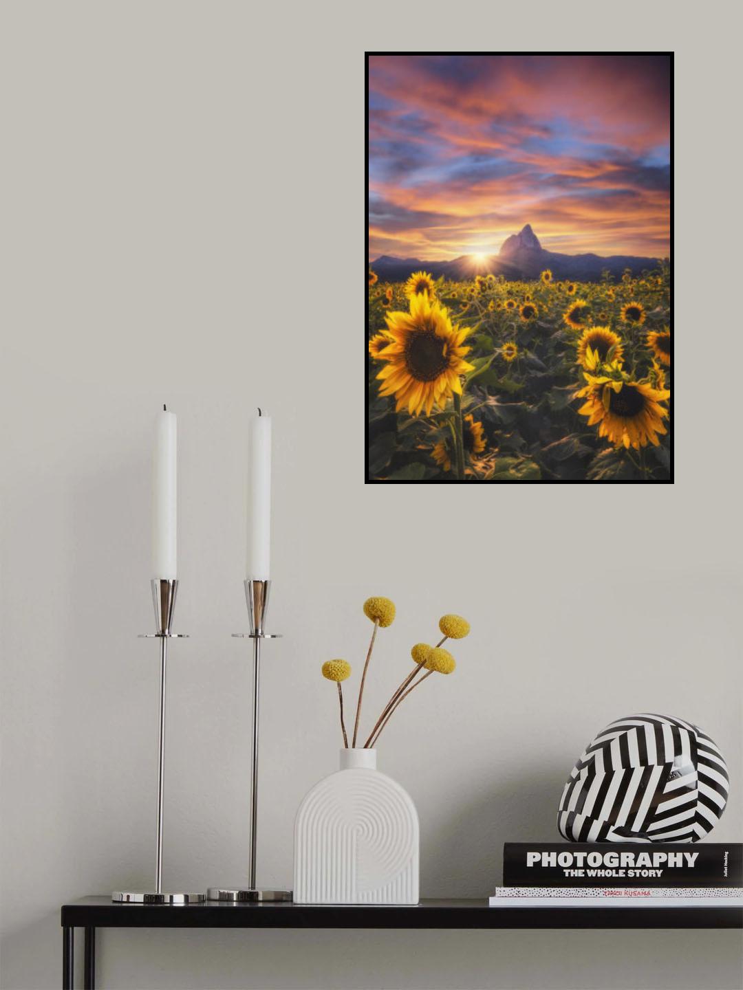 Sunflowers Poster och Canvastavla