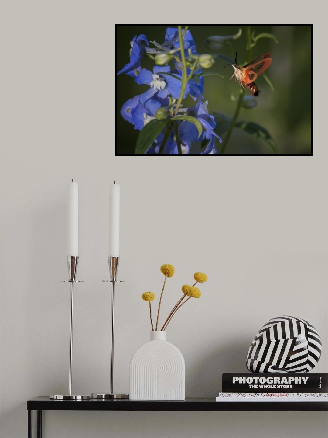 Like a bird Poster och Canvastavla