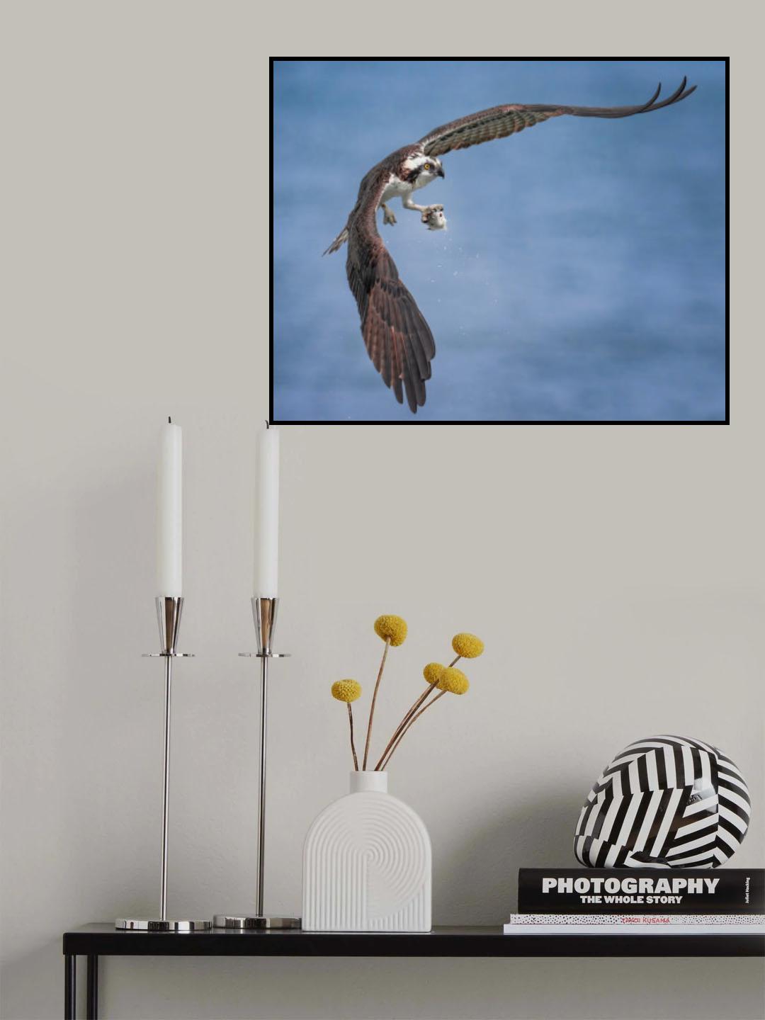 Arched Wings Poster och Canvastavla