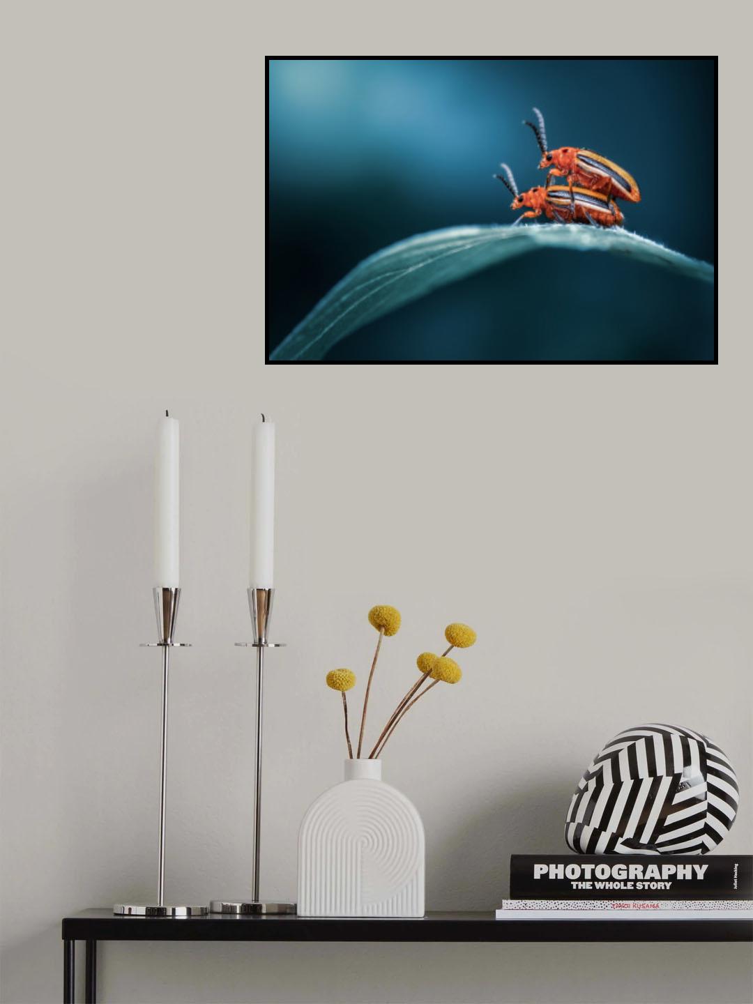 Take me home.. Poster och Canvastavla