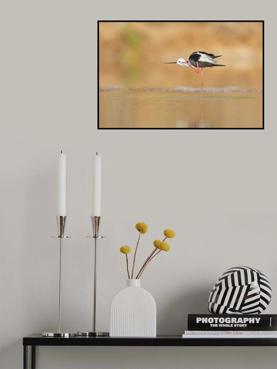 Salute to the Photographer Poster och Canvastavla