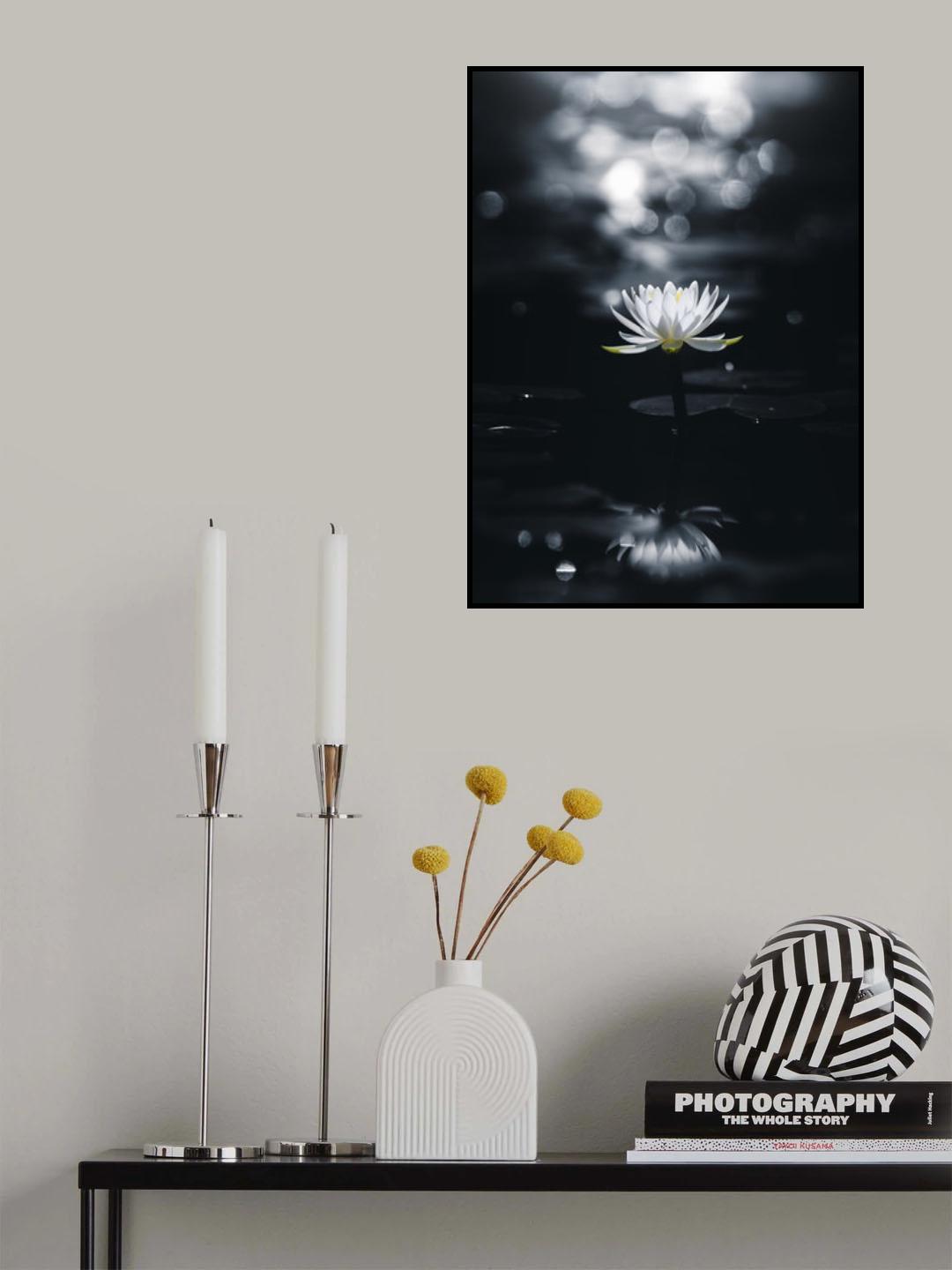 Reflection Poster och Canvastavla