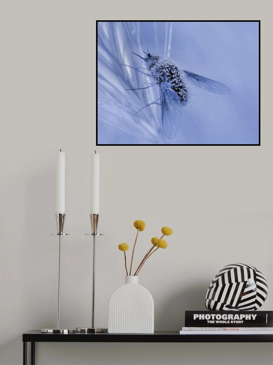 Bubble transport... Poster och Canvastavla