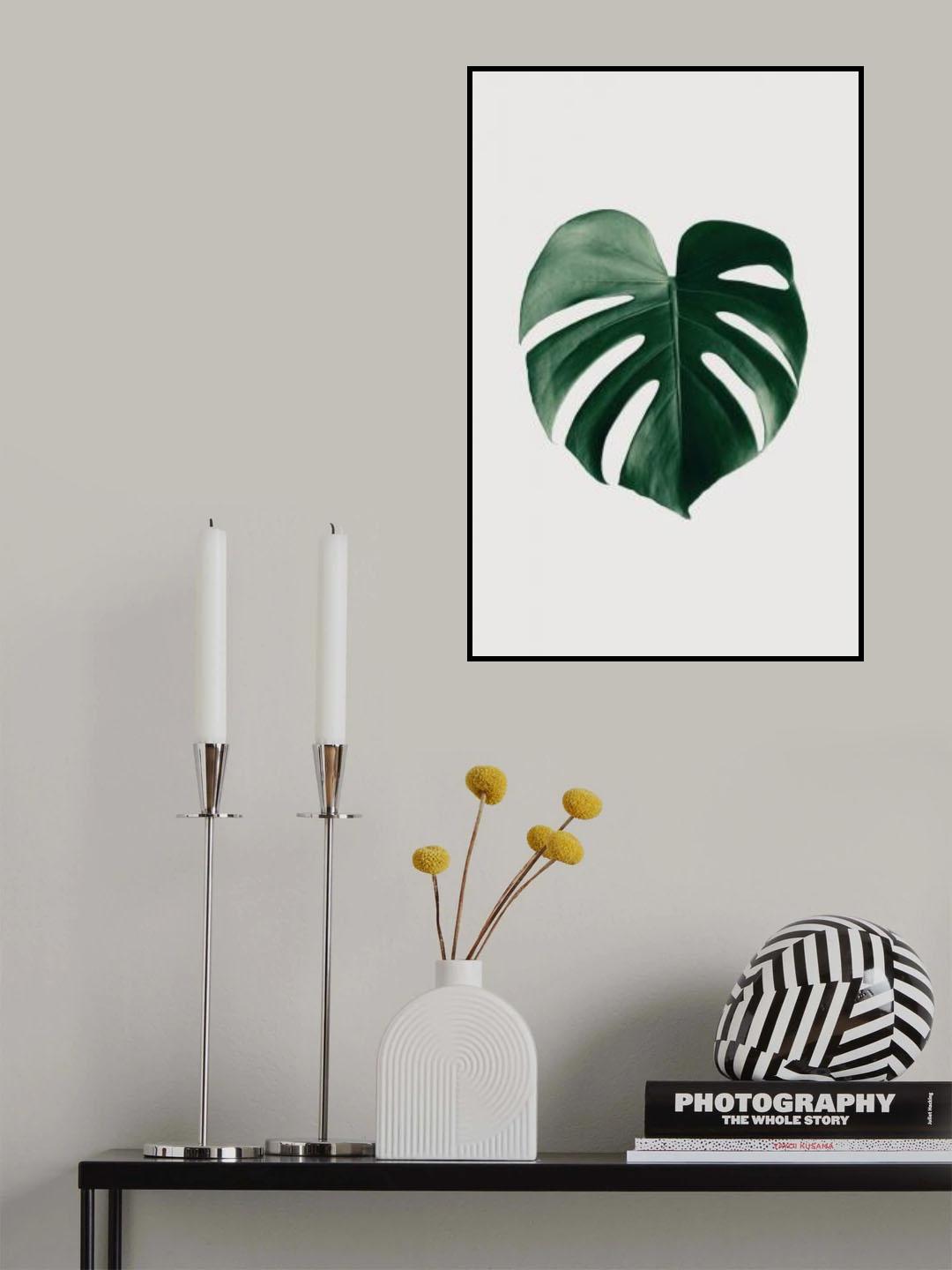 Monstera Natural 24 Poster och Canvastavla