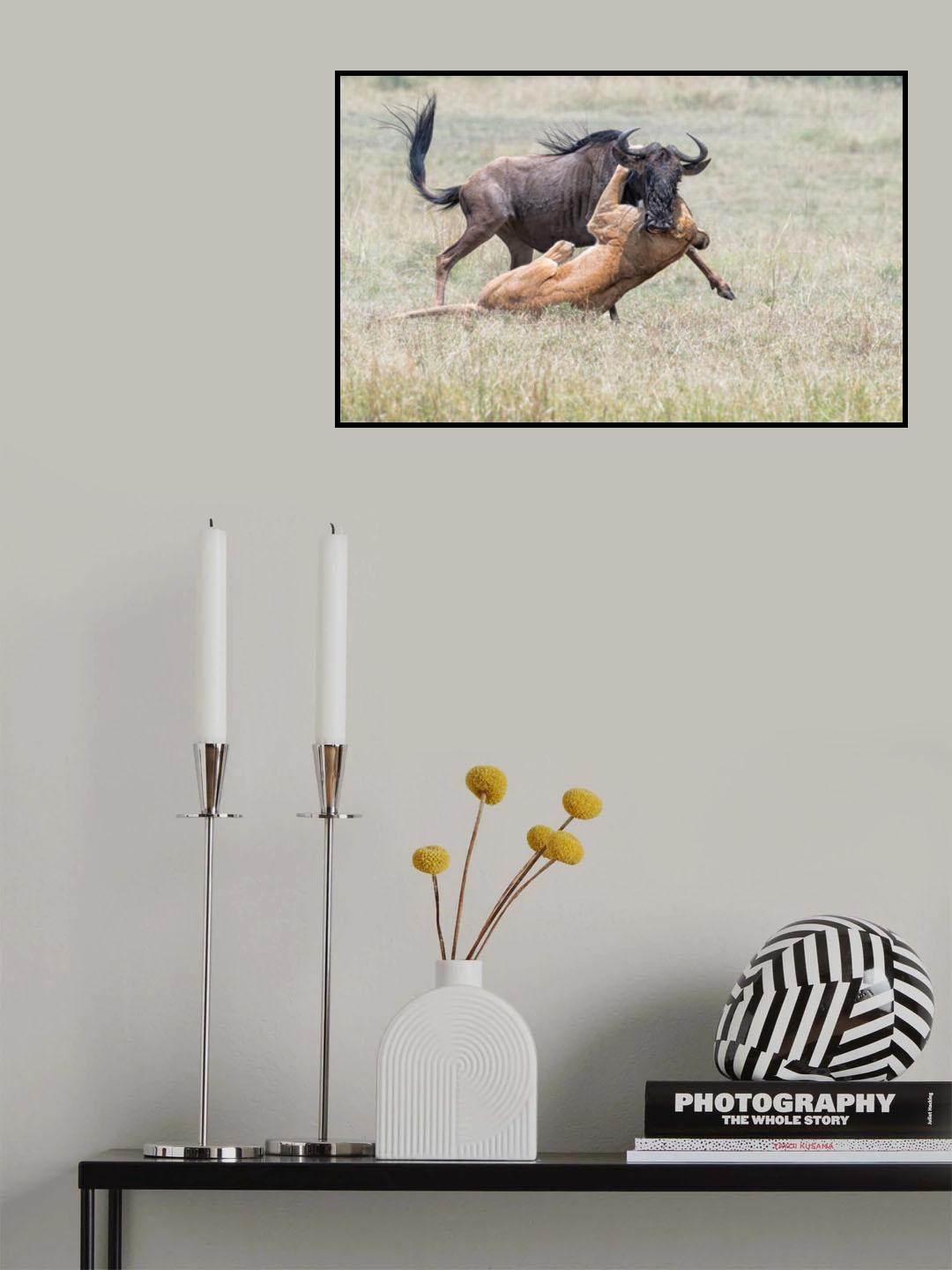 Fighting. Poster och Canvastavla