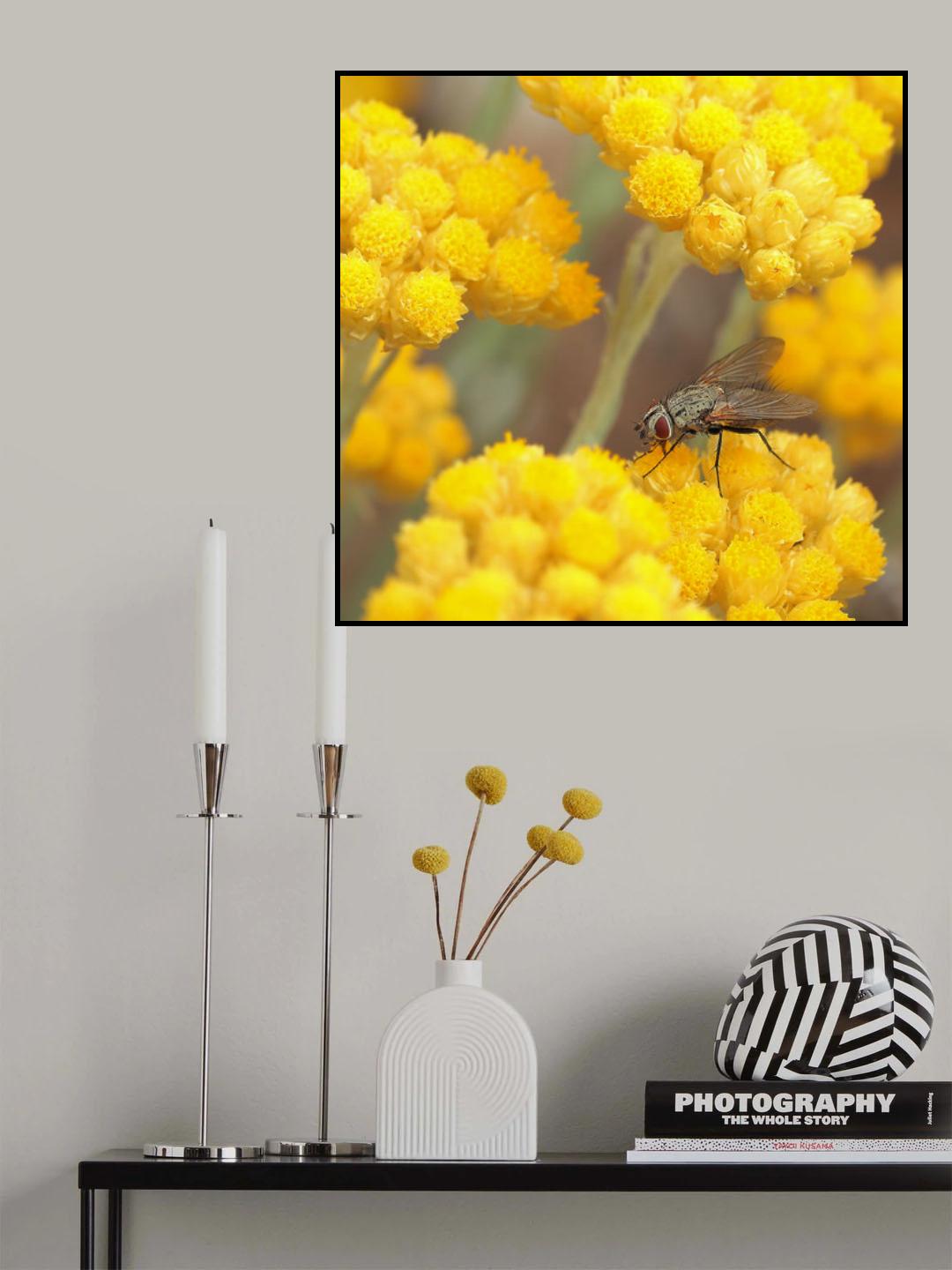 A piece of sun for dessert... Poster och Canvastavla
