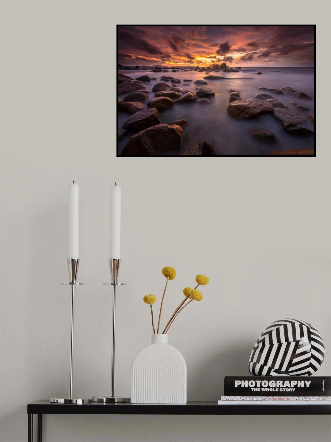 Turtle eggs Poster och Canvastavla