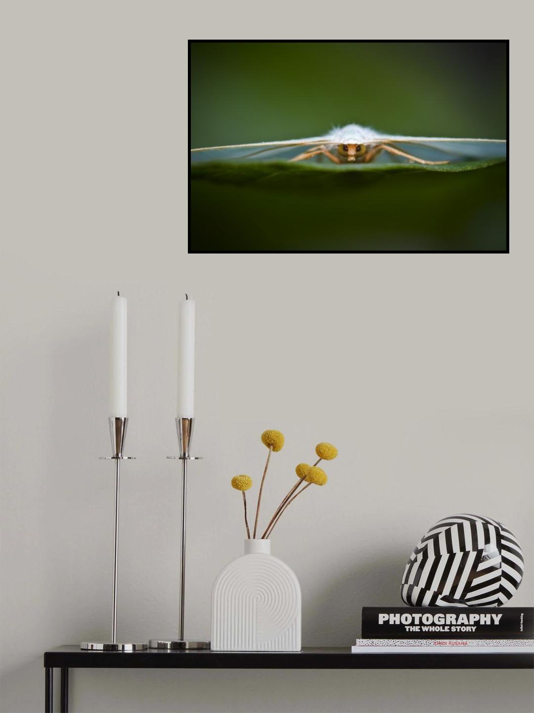 Little small plane Poster och Canvastavla