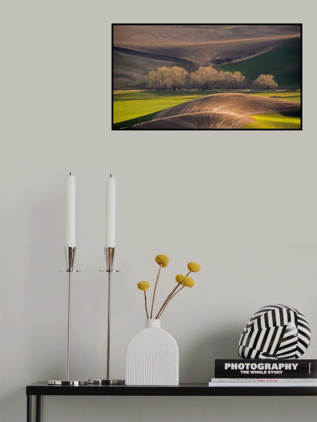 The Spring Is Coming Poster och Canvastavla