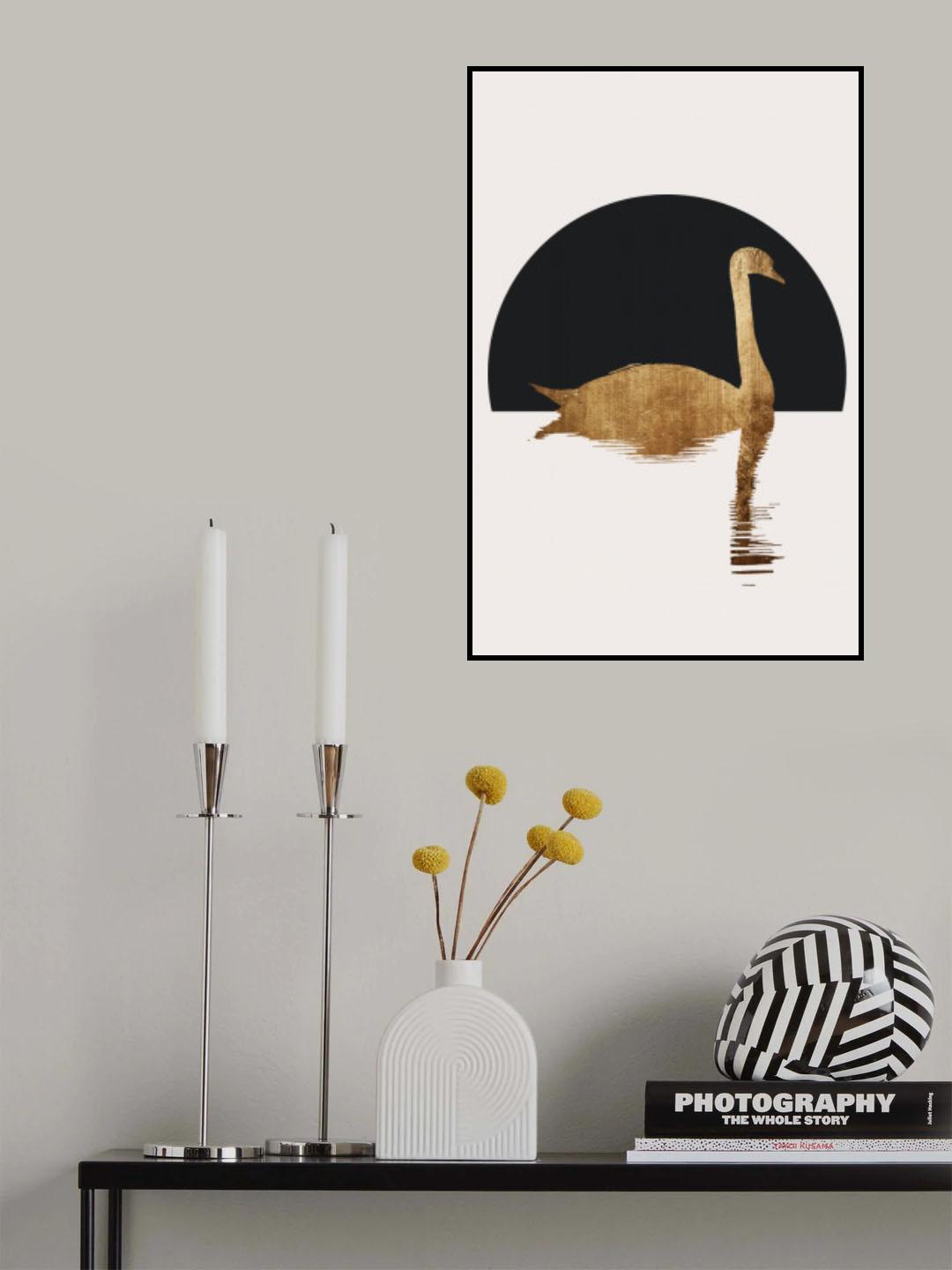 The Swan Black Poster och Canvastavla