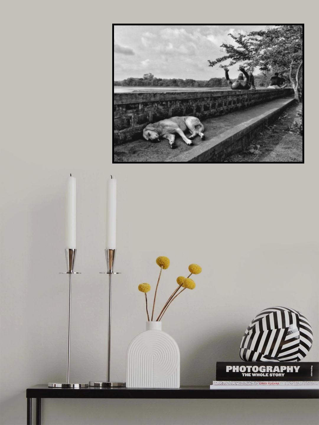 Moods Poster och Canvastavla