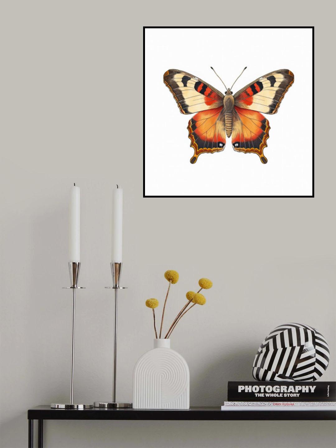 Butterfly 31 Poster och Canvastavla