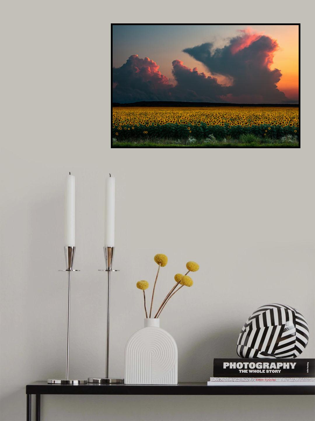 Before Sunset Poster och Canvastavla