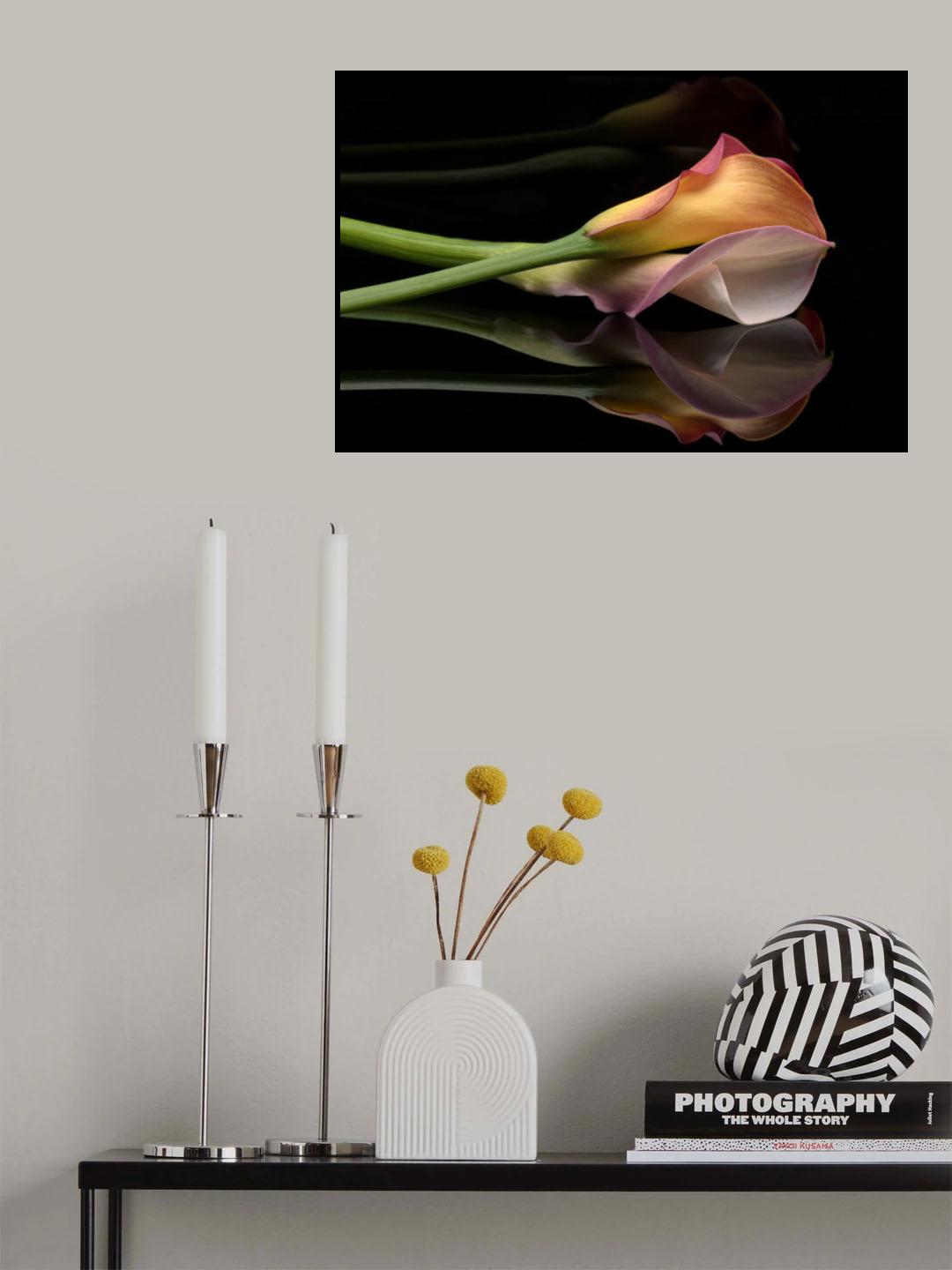 Reflected Poster och Canvastavla