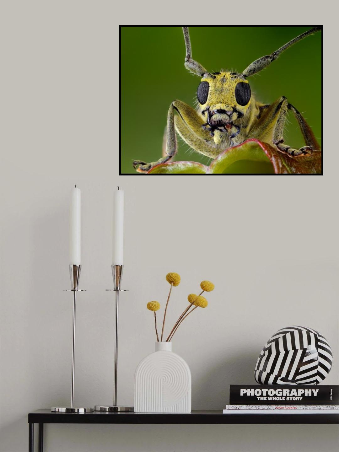 Whiskered Poster och Canvastavla