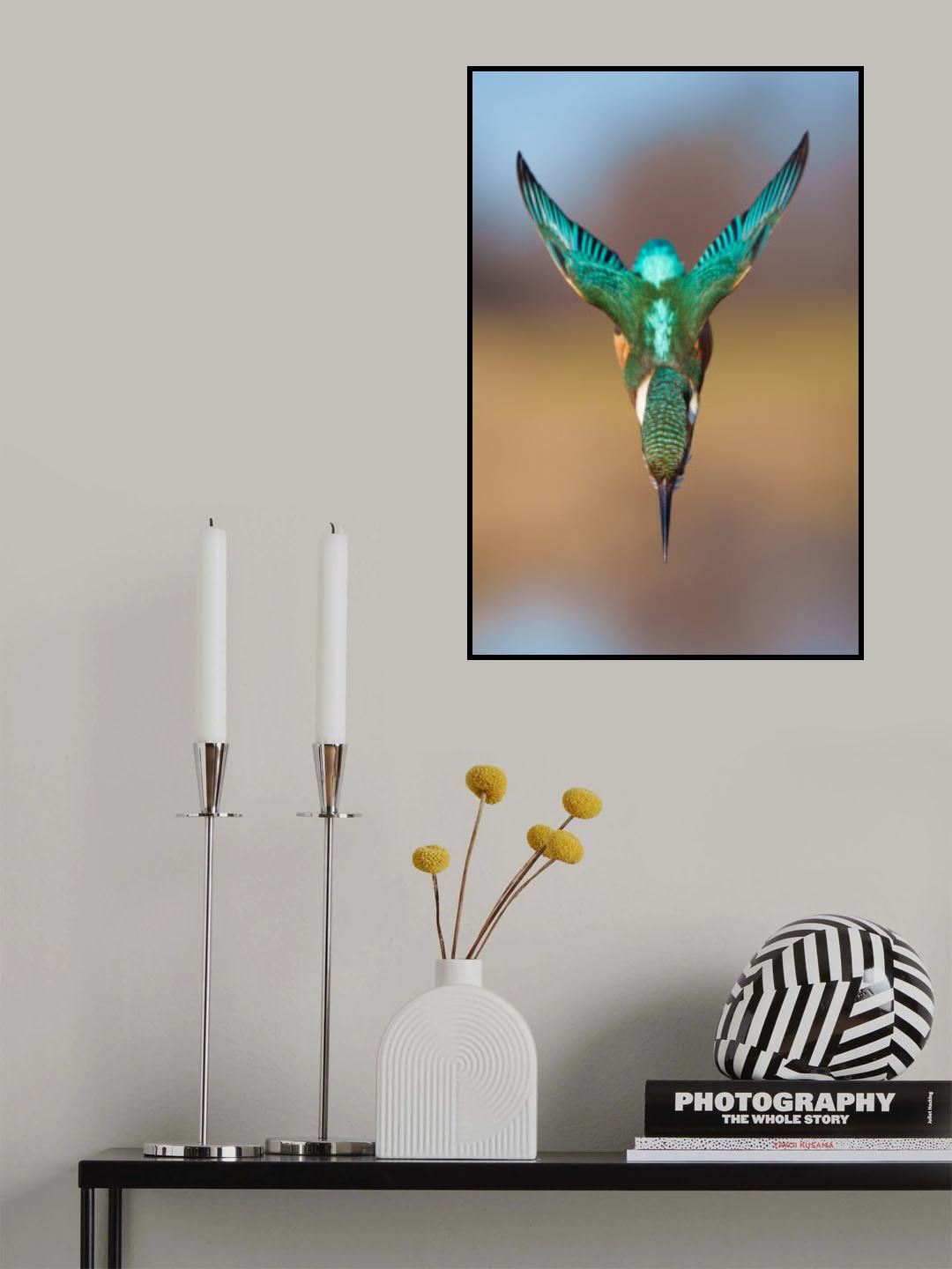 Aerodynamics II Poster och Canvastavla