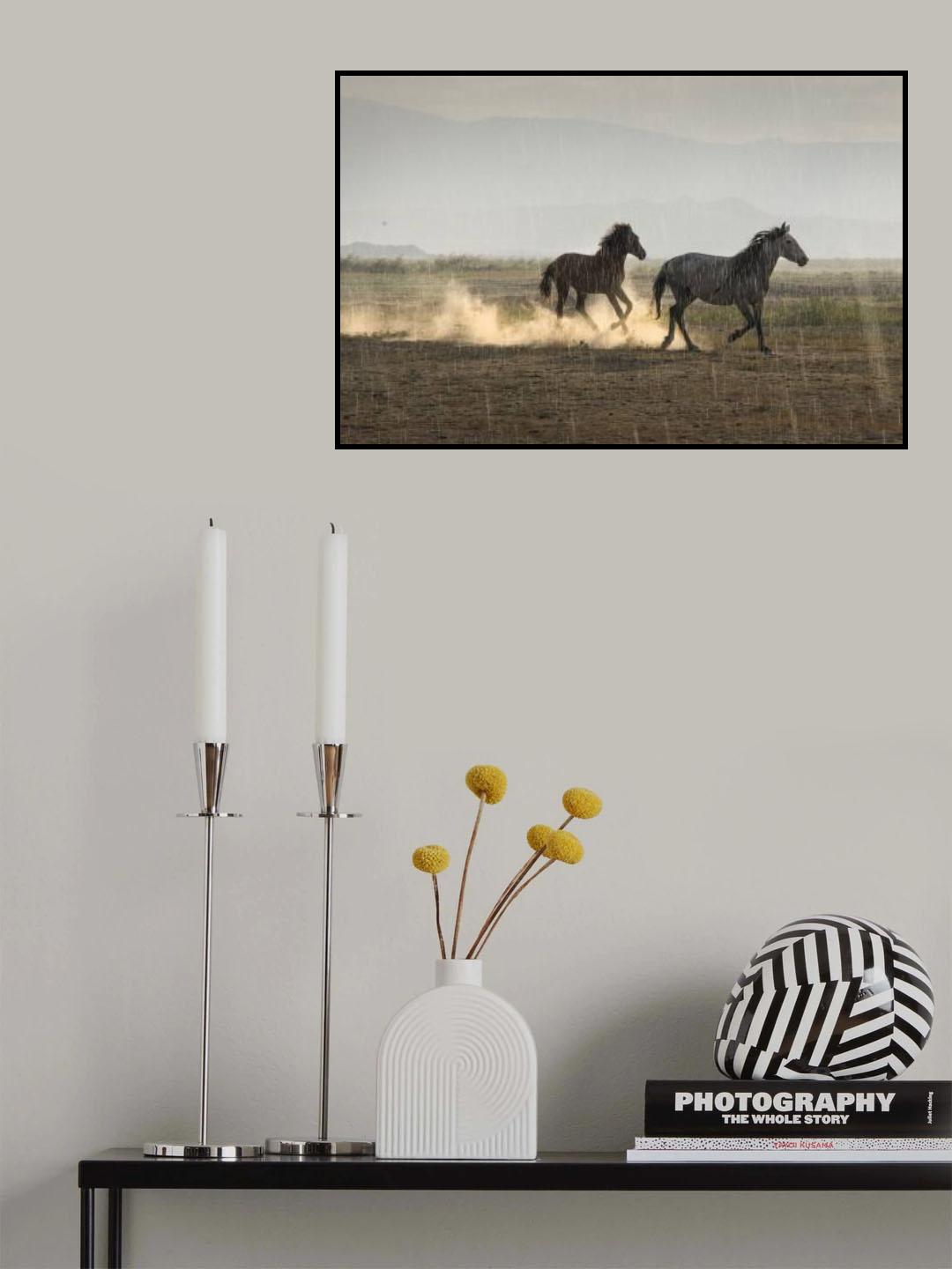 Rain Sun Horses Poster och Canvastavla