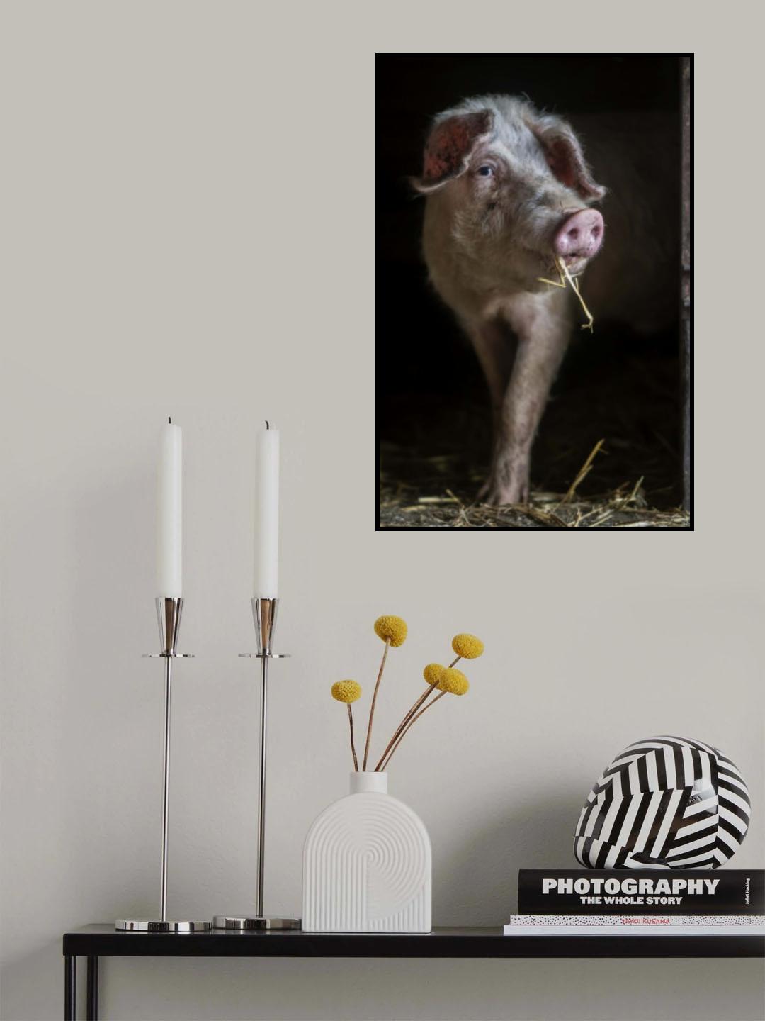 The luscious pig Poster och Canvastavla