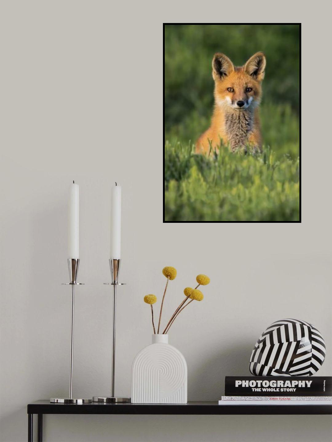 Peek-a-Boo Poster och Canvastavla