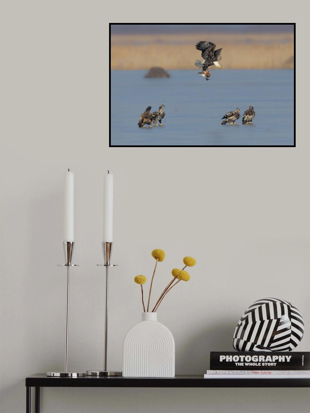 For Survival in the Winter Poster och Canvastavla