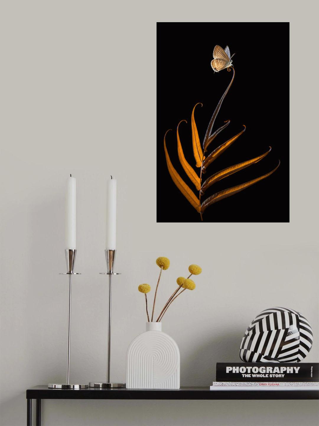 Elok Poster och Canvastavla