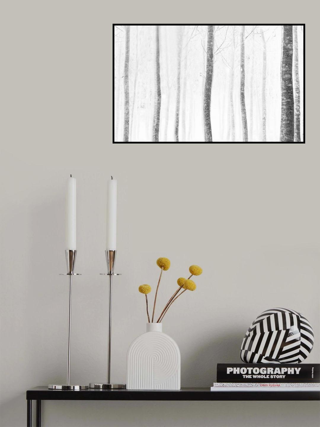 forest Poster och Canvastavla