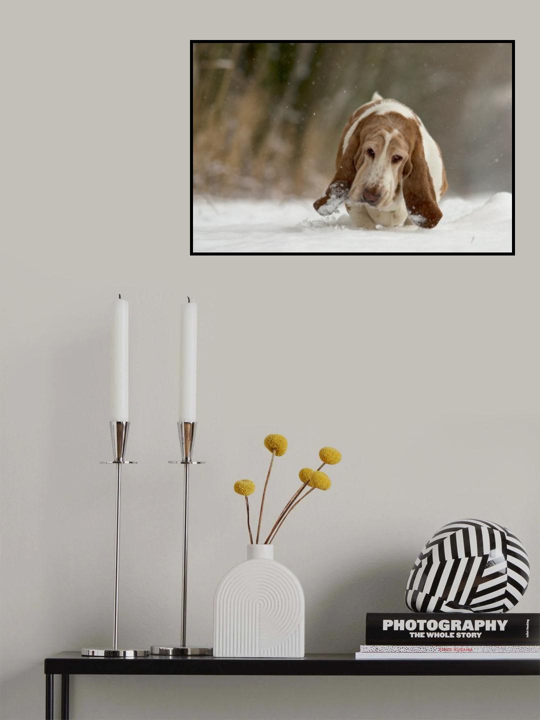 Just taking it easy Poster och Canvastavla