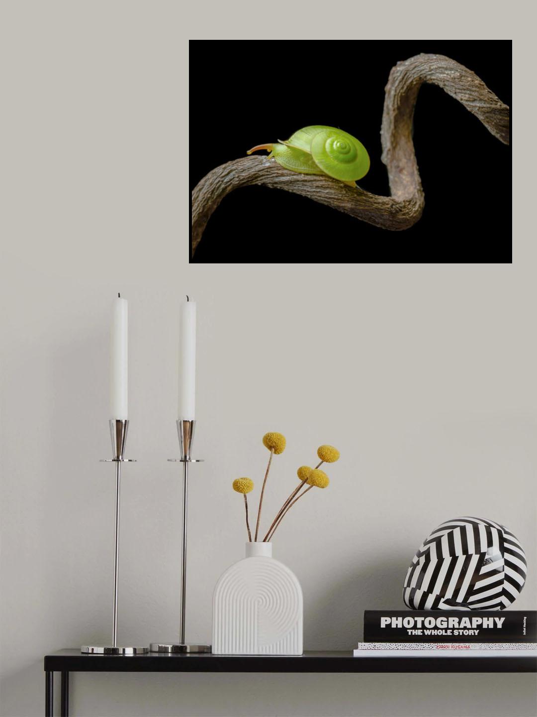 Winding Road Poster och Canvastavla