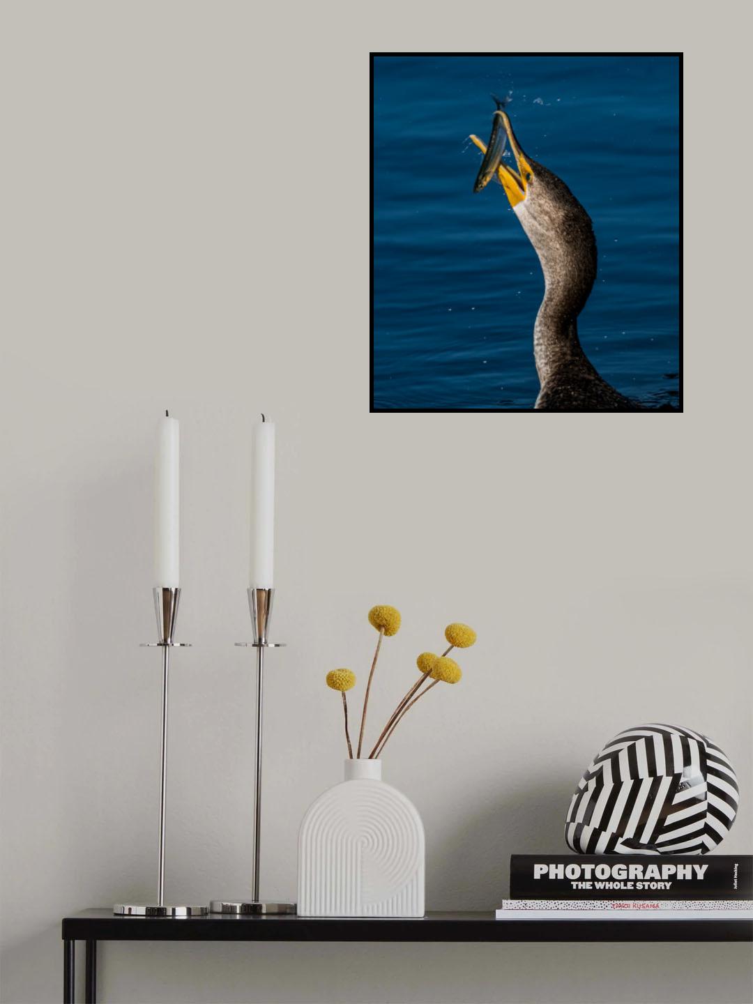 Cormorant and Fish Poster och Canvastavla