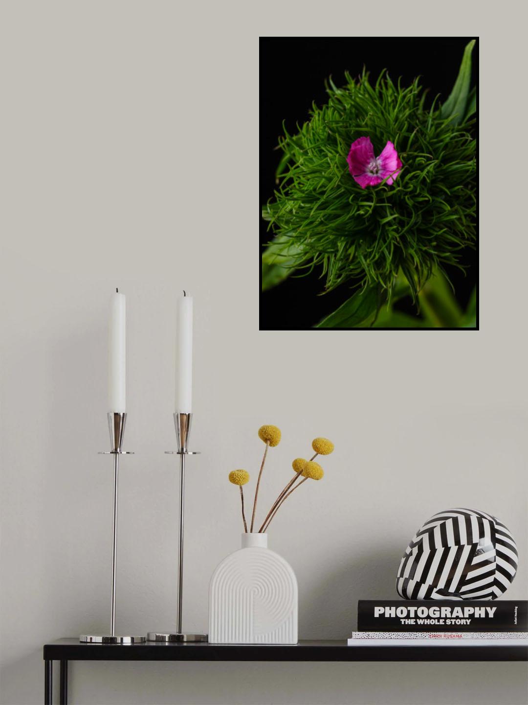 spring flower Poster och Canvastavla
