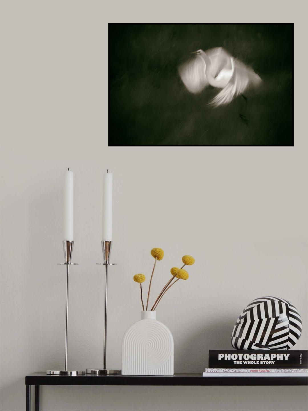 Landing Poster och Canvastavla