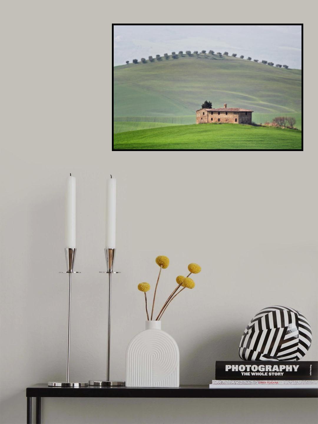 The spine of the dragon Poster och Canvastavla