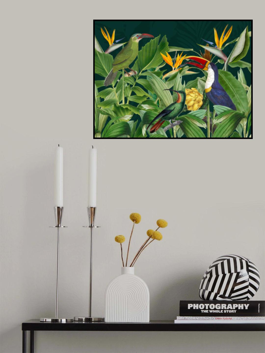 Rainforest Birds Poster och Canvastavla