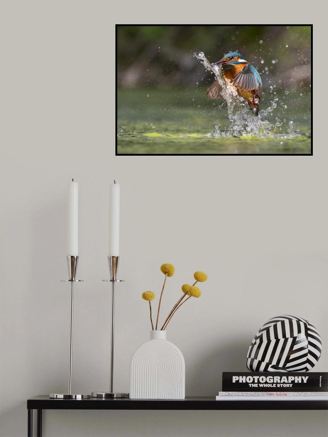 Catch in the sun Poster och Canvastavla