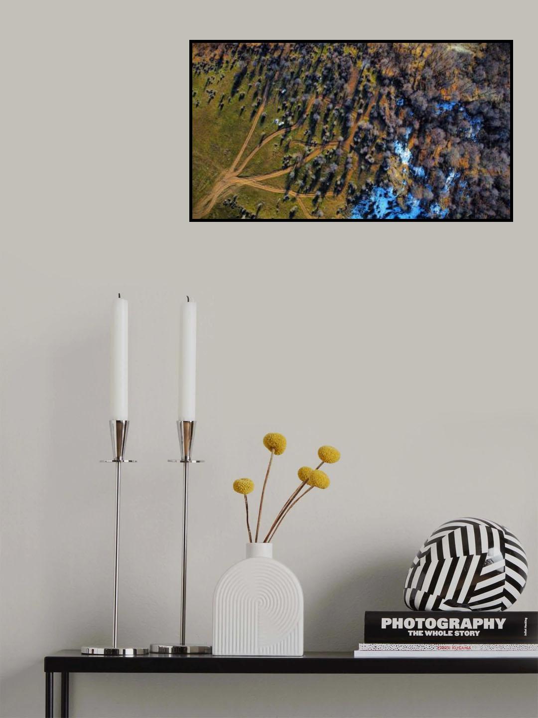 Tree of life Poster och Canvastavla