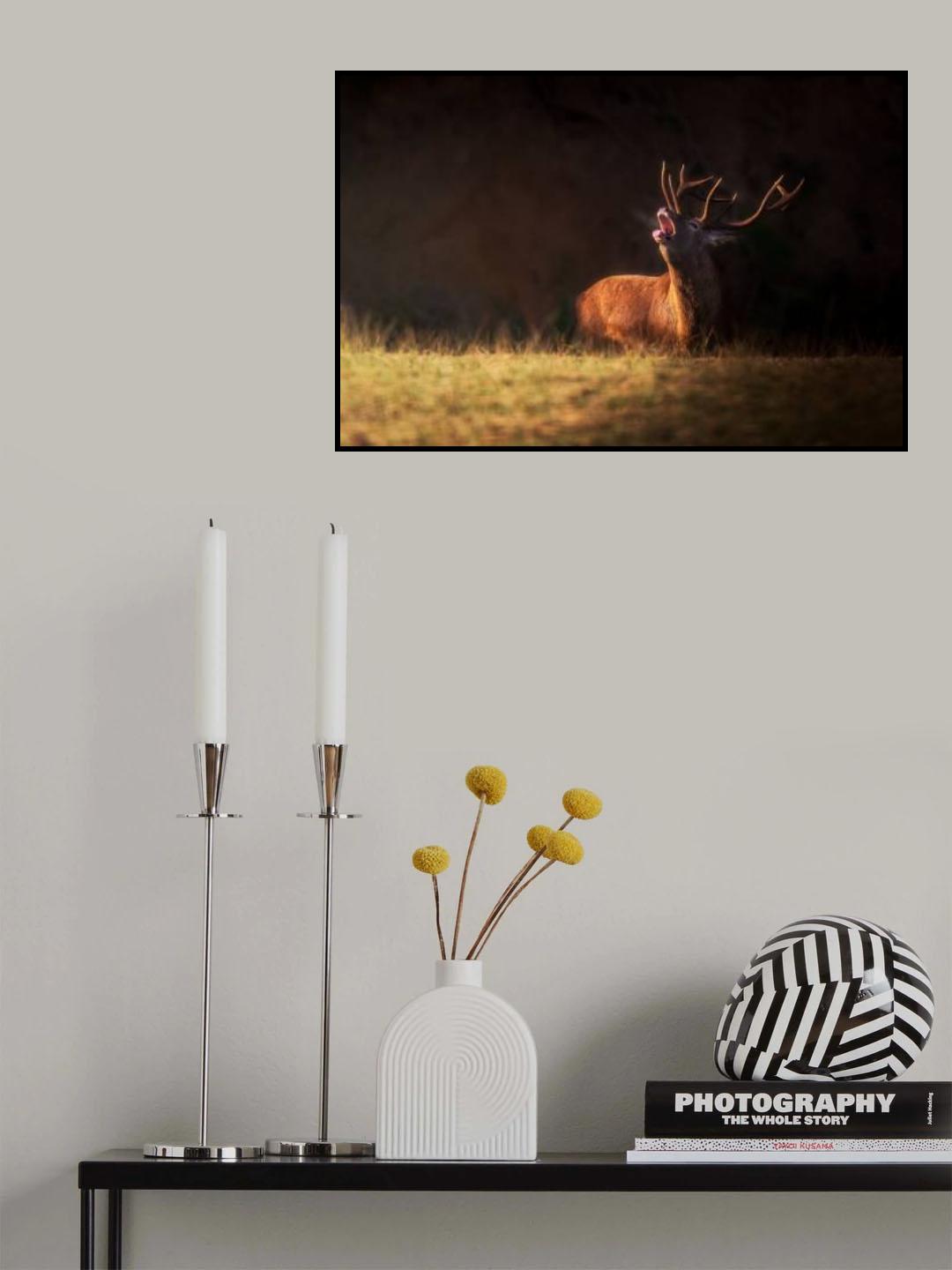 The deer's zeal Poster och Canvastavla