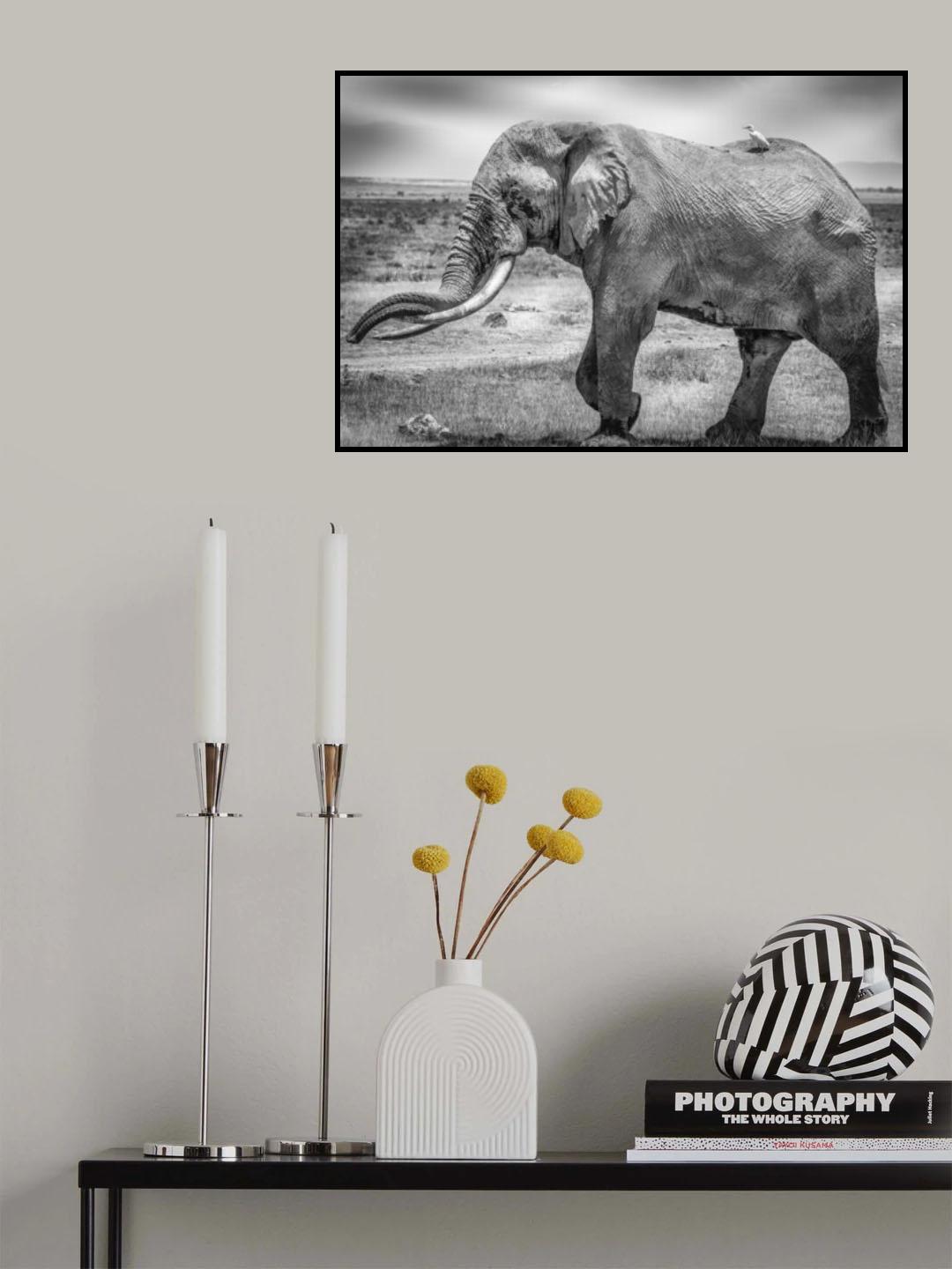 Mighty Tim and friend Poster och Canvastavla
