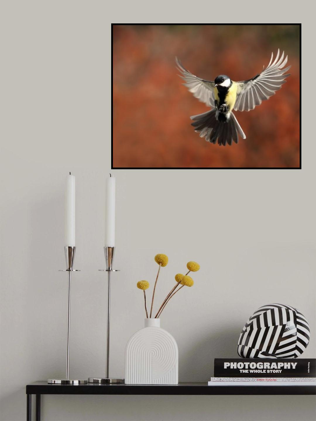 Fly Poster och Canvastavla