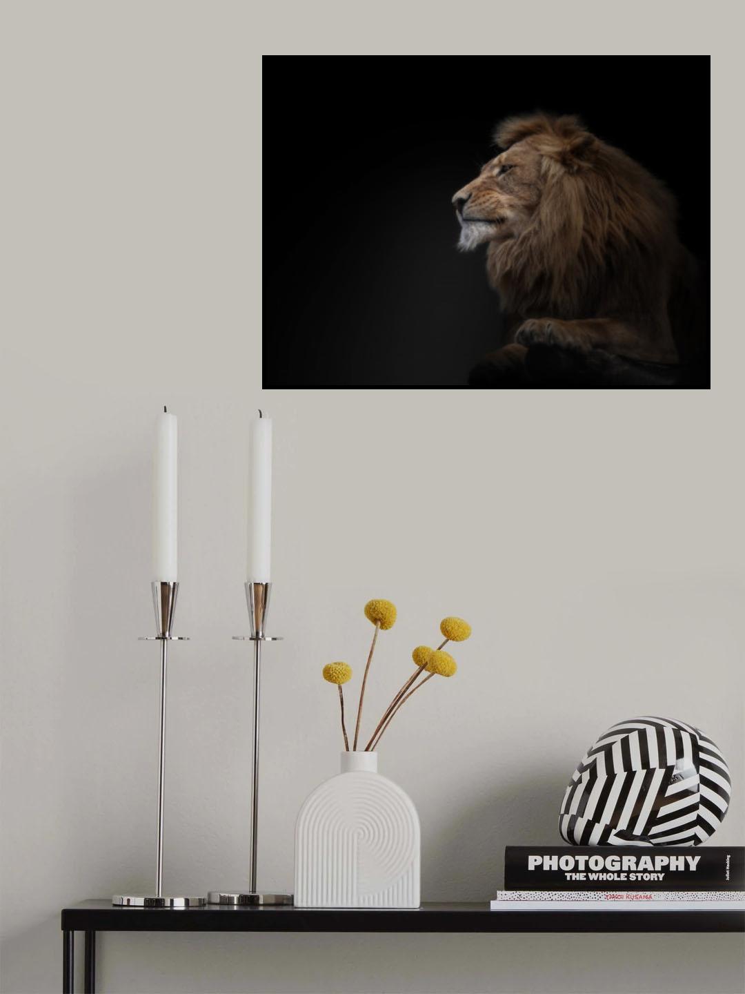 lion Poster och Canvastavla