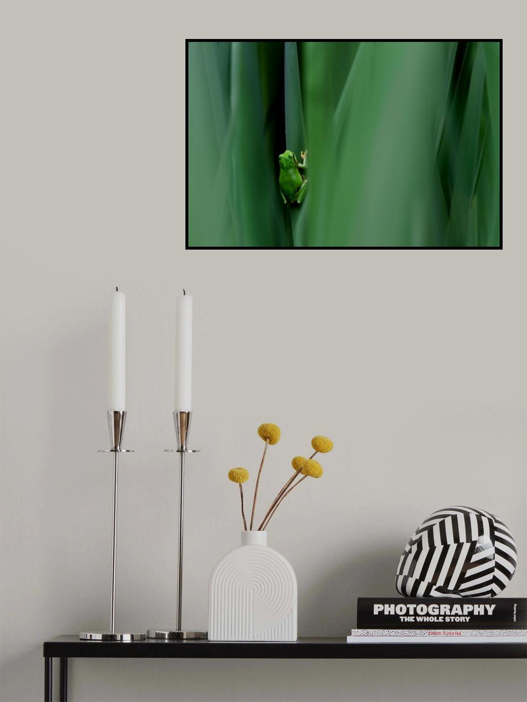 Stage curtain Poster och Canvastavla