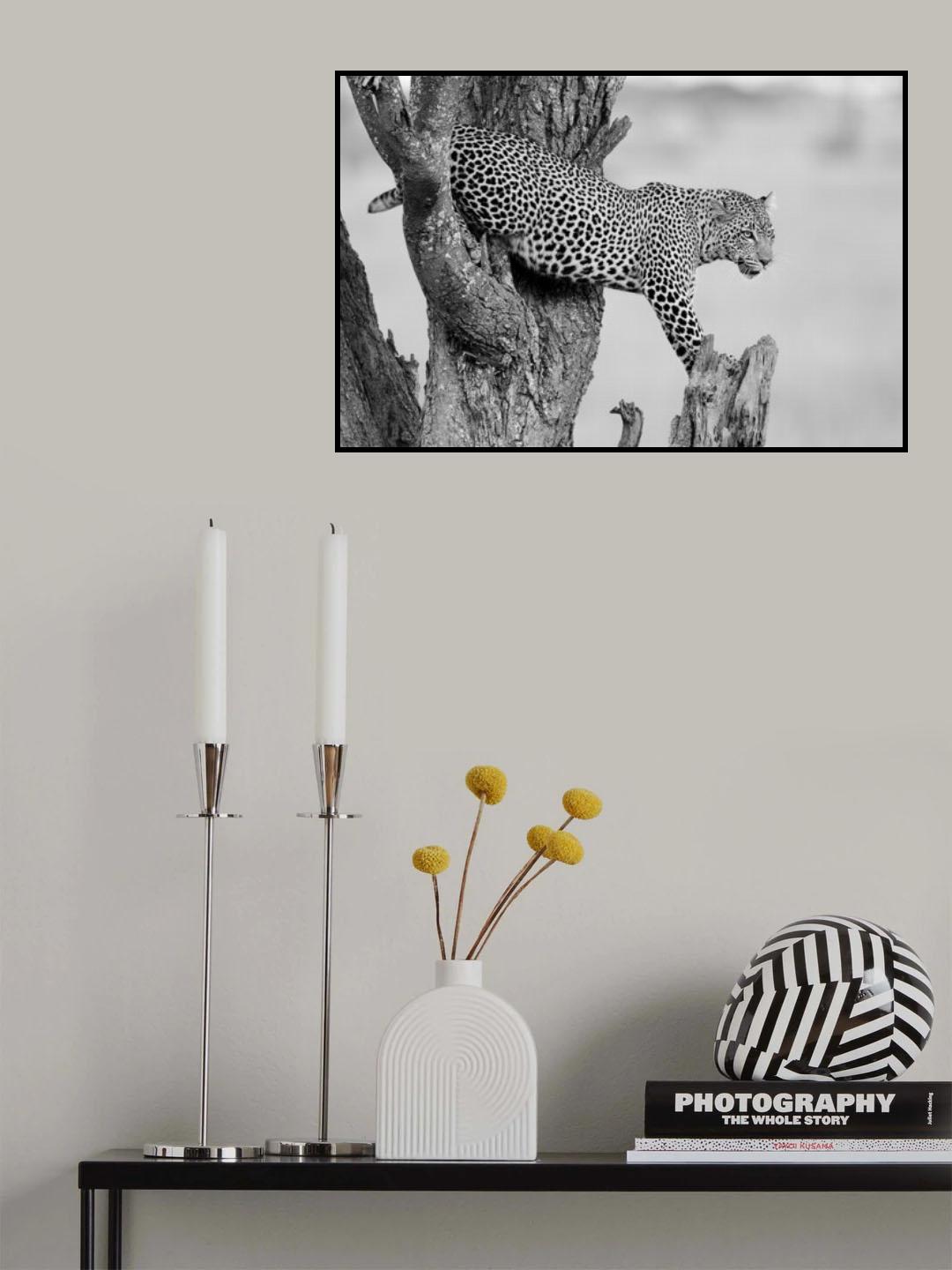 Big Cat Poster och Canvastavla