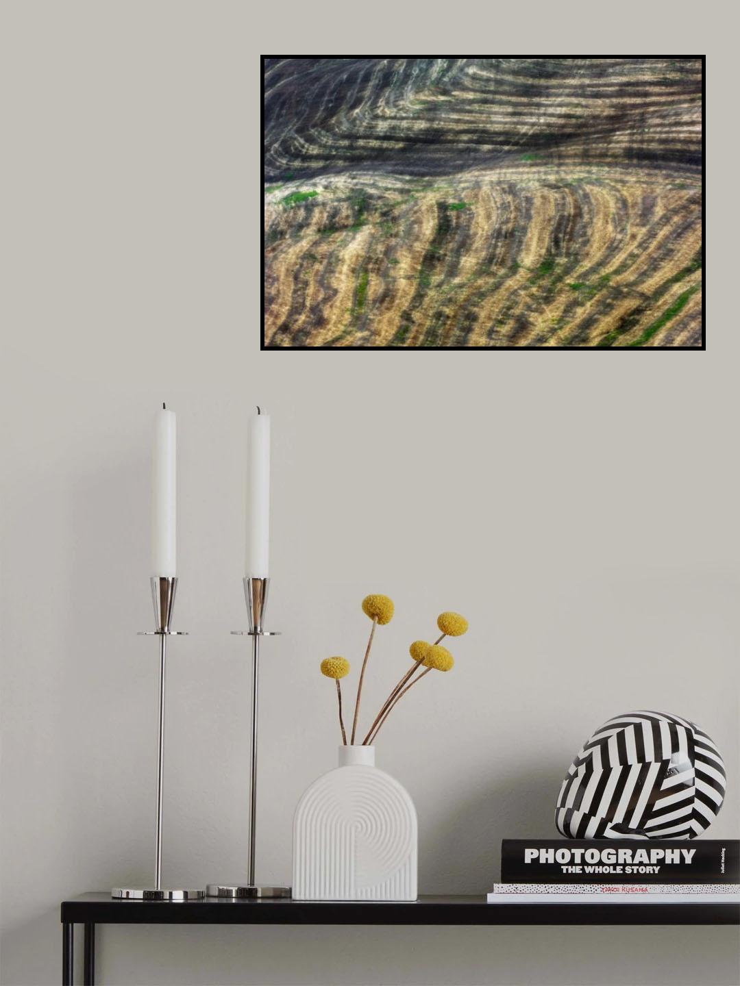 Lines Poster och Canvastavla