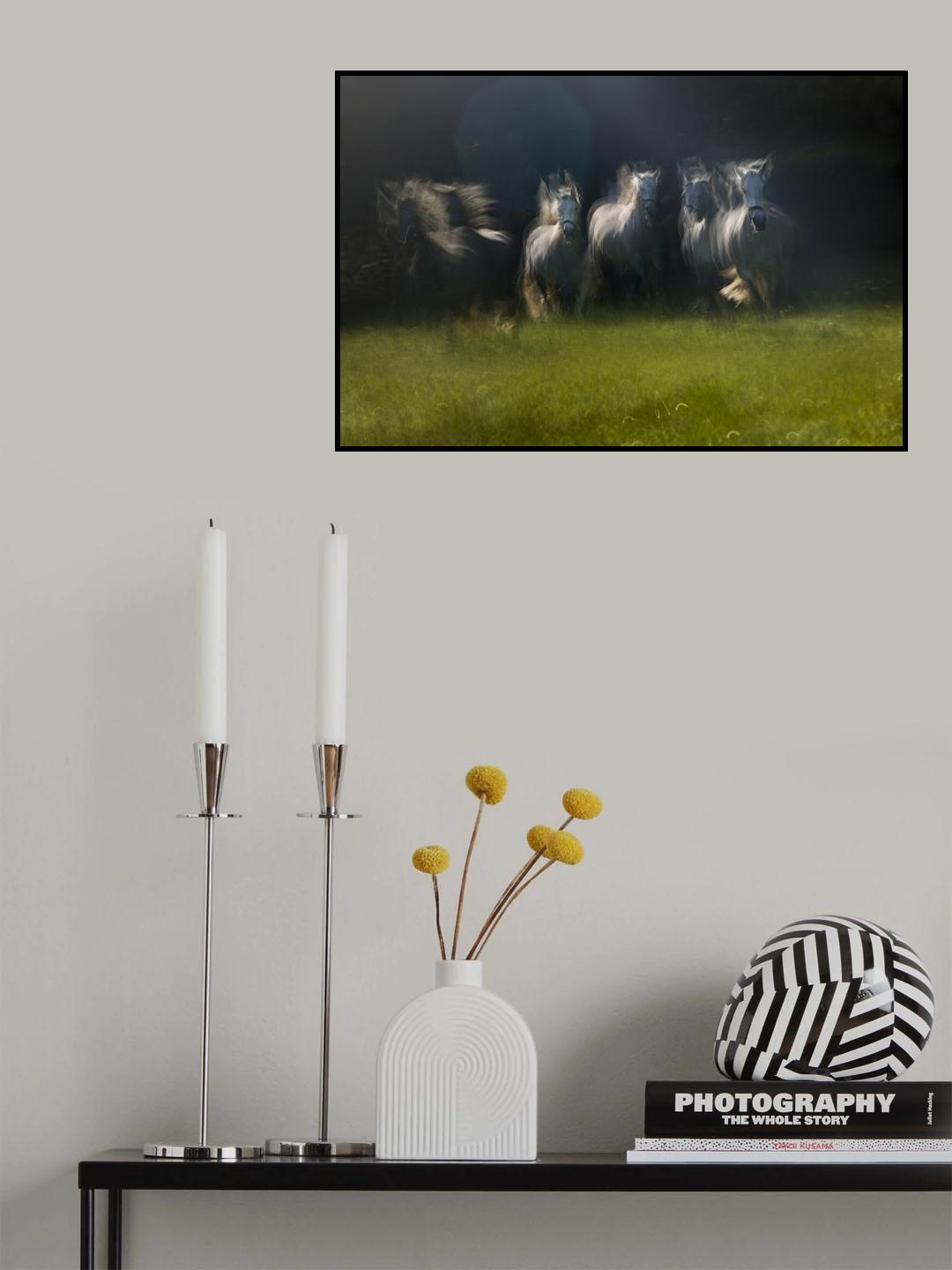 gallop Poster och Canvastavla