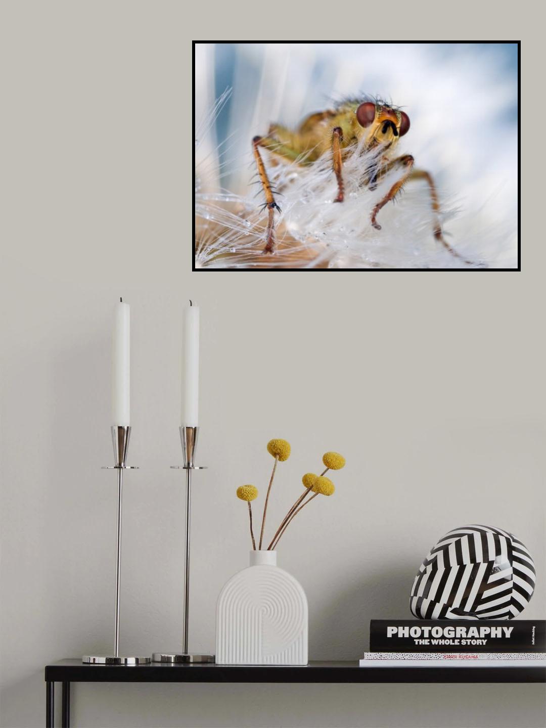 In White Poster och Canvastavla