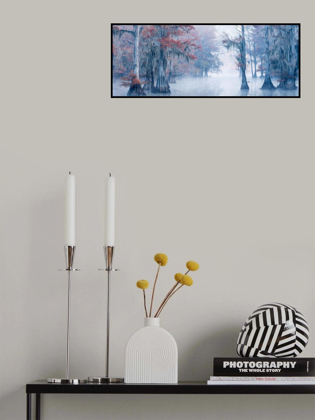Autumn Cypress Poster och Canvastavla