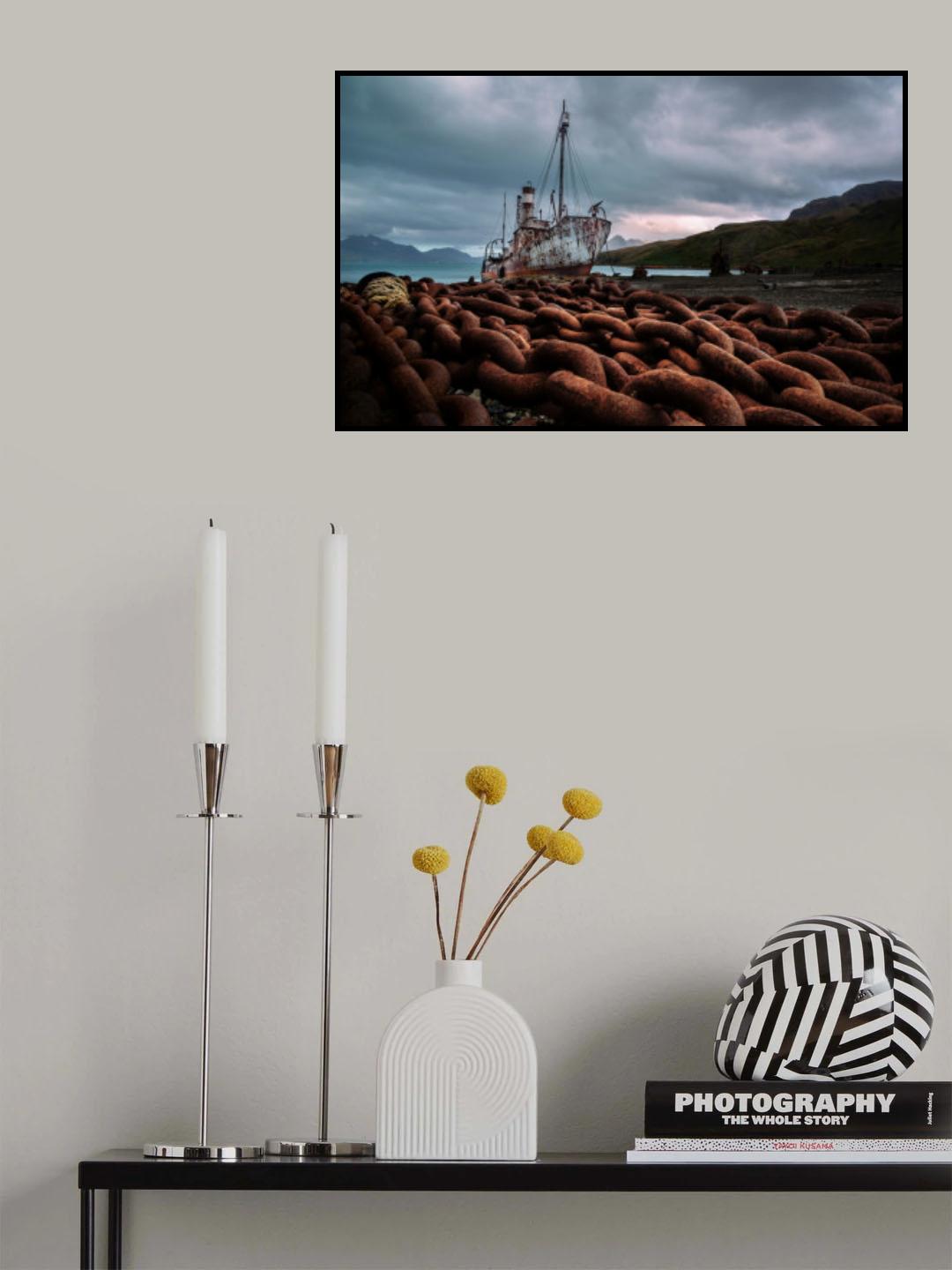 The Retired Petrel Poster och Canvastavla