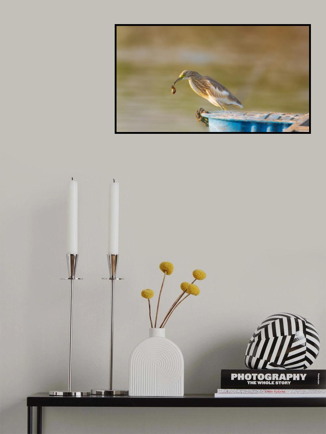 Poster och Canvastavla