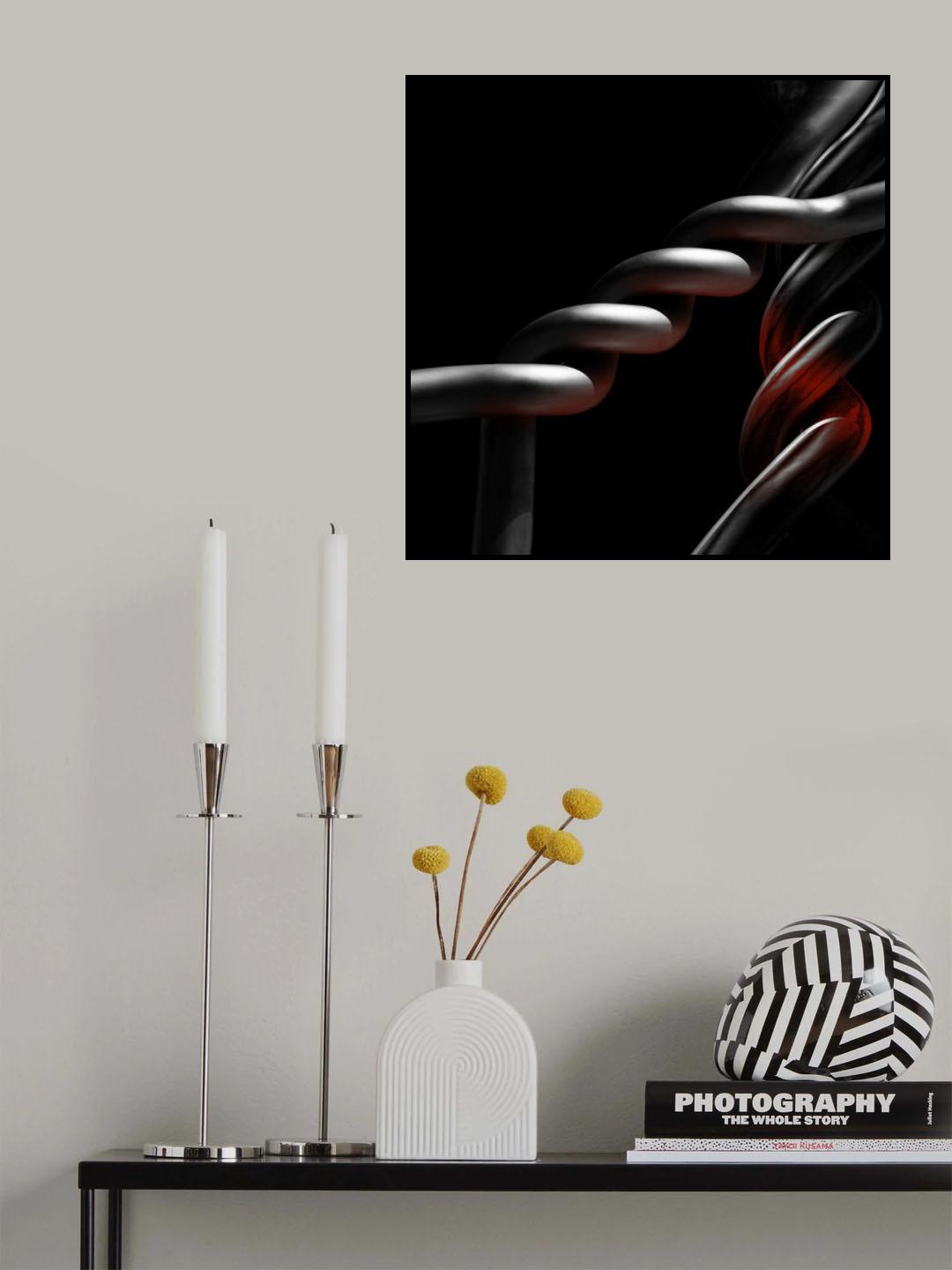 Twisted duo Poster och Canvastavla