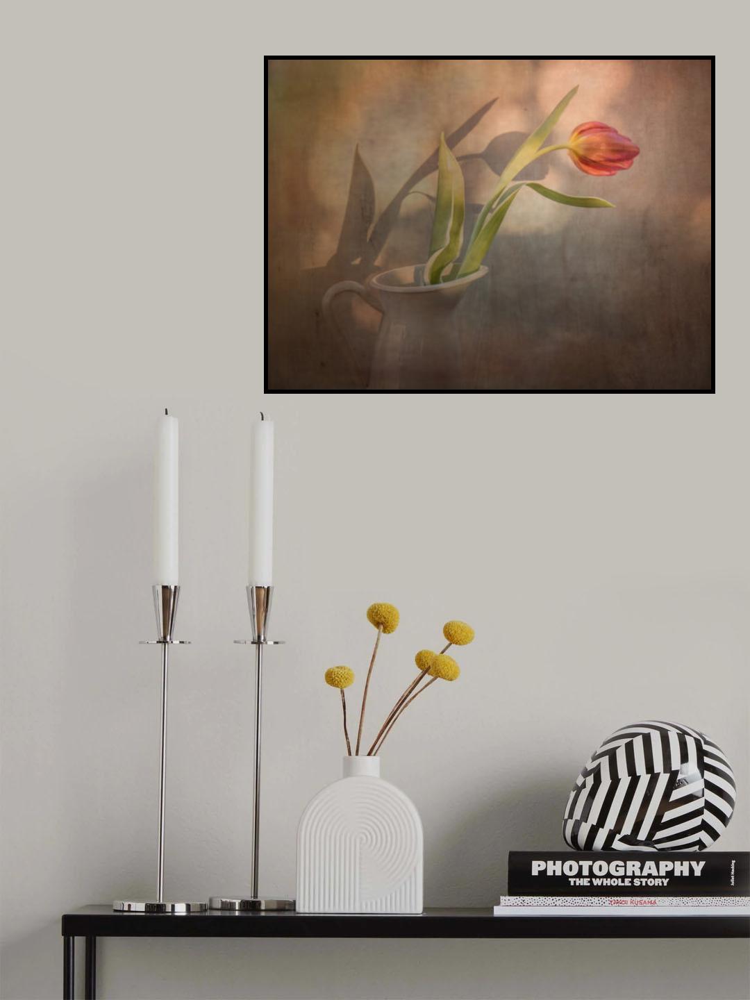 Shadows Poster och Canvastavla